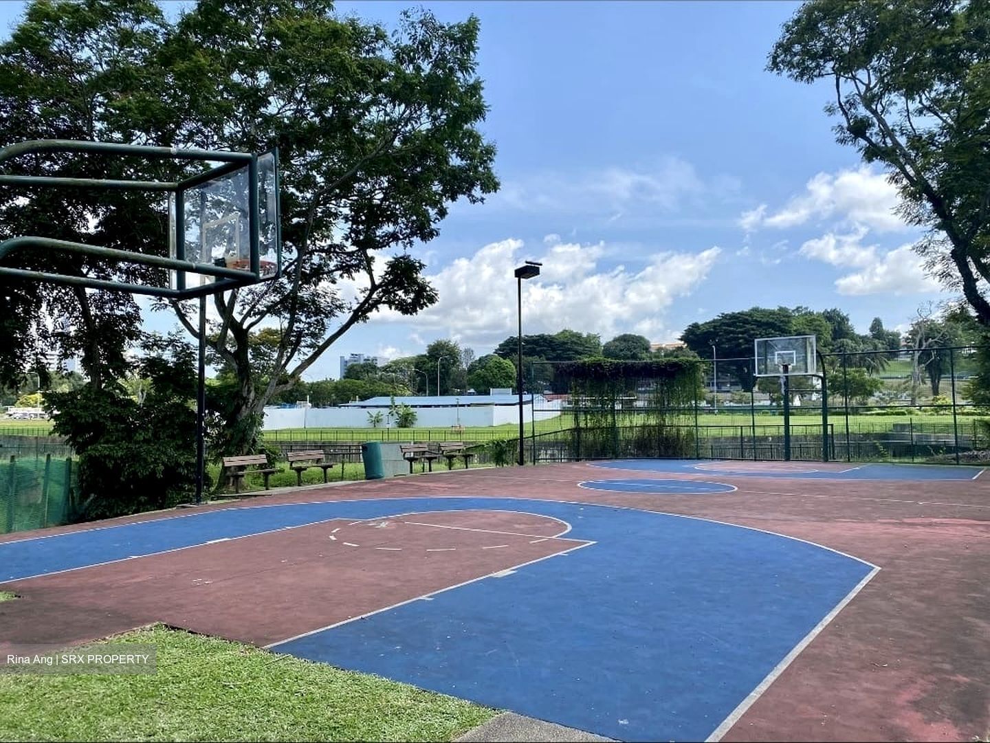 Pine Grove (D21), Condominium #624179051
